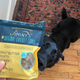 Trying to get lucky enough to get a treat.